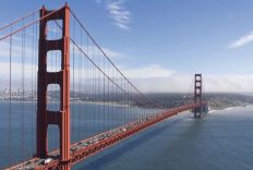 1173 Golden Gate